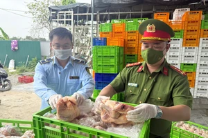 14.000 con gà đông lạnh không rõ nguồn gốc chuẩn bị tuồn ra thị trường Hà Nội