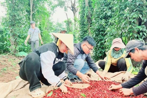 Công điện mới của Thủ tướng ứng phó với biến động thương mại toàn cầu