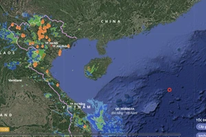 Bộ Nông nghiệp và Môi trường yêu cầu chủ động ứng phó với vùng áp thấp nguy hiểm