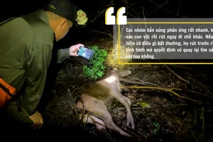 Bộ Nông nghiệp và Môi trường sẽ vào cuộc liên quan bài điều tra 'Tiếng kêu ai oán giữa rừng xanh'