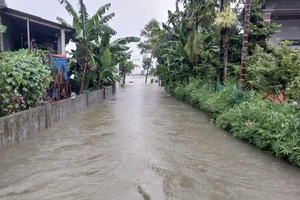 Bão số 1 làm 2 người chết, 4 người mất tích gây thiệt hại nghiêm trọng tài sản 