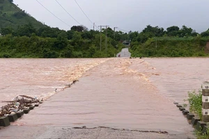 Bộ Nông nghiệp và Môi trường hỗ trợ khẩn cấp Quảng Trị khắc phục hậu quả bão số 1