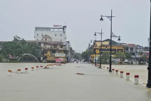 Ban Bí thư chỉ đạo chủ động phòng ngừa, ứng phó và khắc phục hậu quả thiên tai
