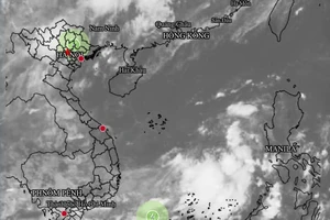 Bão số 1 vừa tan, Biển Đông lại sắp có áp thấp nhiệt đới