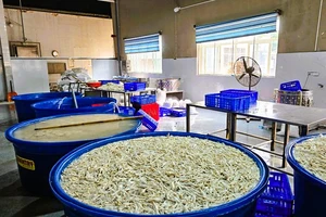 Kinh hoàng kho chân gà 'bẩn' ngâm hóa chất ở Thanh Hóa