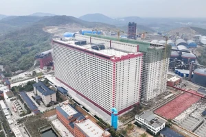 Đề xuất triển khai mô hình chăn nuôi lợn trong nhà nhiều tầng