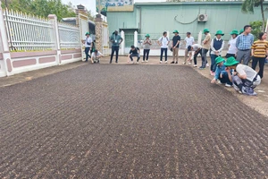 Sau gạo, cà phê, đến lượt thuỷ sản, hồ tiêu... gặp khó vì vướng thuế giá trị gia tăng