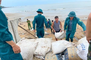 Người dân Nghệ An gấp rút gia cố nhà cửa, cắt tỉa cây xanh để chống bão số 5