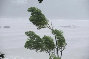 Thủ tướng tiếp tục có công điện chỉ đạo ứng phó bão số 5