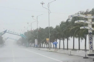 Bão số 5 vừa tan, biển Đông sắp có áp thấp nhiệt đới