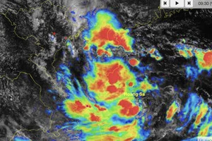 Áp thấp nhiệt đới mạnh thành bão số 6, sáng mai vào biển miền Trung