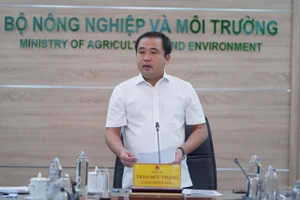 Philippines và Indonesia tạm ngừng nhập khẩu gạo, Bộ NN&MT họp gấp