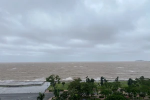 Biển Đông dồn dập áp thấp, áp thấp nhiệt đới