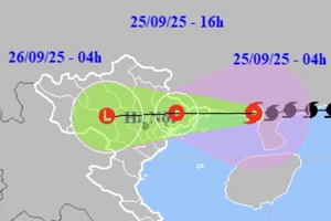 Bão số 9 tiến gần Quảng Ninh, gió giật cấp 11