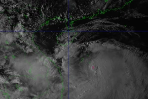Dự báo mới nhất: Bão số 10 hướng vào khu vực Hà Tĩnh – Quảng Bình (cũ)
