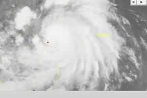 Bão số 10 giật cấp 15 đang trên vùng biển Quảng Trị-TP Đà Nẵng