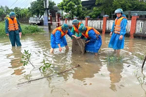 Lập Ban chỉ đạo tiền phương tại các tỉnh có tâm bão số 10 đi qua