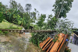 Bão số 10 gây mất điện diện rộng ở Thanh Hoá, Nghệ An, Hà Tĩnh