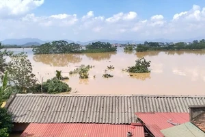 Bão số 11: Ứng phó lũ còn bị động, chưa giám sát chặt chẽ thuỷ điện nhỏ 