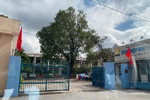 Vụ thịt bò giả ở Hà Nội: Công ty Hida không có hồ sơ nhập khẩu thịt