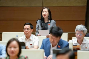 Đại biểu Quốc hội: Nhiều sàn thương mại điện tử nước ngoài thu phí rất cao 