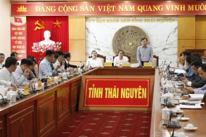Nghiên cứu xây 4 hồ chứa nước ở thượng nguồn sông Cầu để cắt lũ cho Thái Nguyên