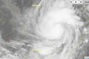 Có khả năng xuất hiện cơn bão mới sau bão số 15