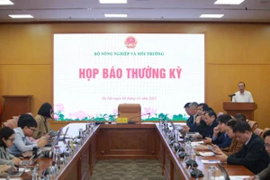 Giá rau giảm dần vì nguồn cung đang khôi phục sau bão lũ