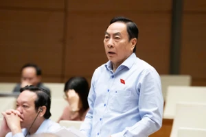 Làm kinh tế miền núi: Đừng áp đặt tư duy ‘máy gặt chạy thẳng cánh cò bay’