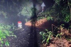 Nhiều khu vực ở Nam Trung Bộ, Tây Nguyên đang rất ‘nhạy cảm’ với sạt lở