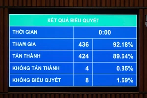Quốc hội thông qua cơ chế đặc thù cho điện gió, điện hạt nhân