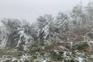 Miền Bắc sắp rét đậm, rét hại