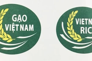 Sẽ ban hành quy định về quản lý, sử dụng nhãn hiệu chứng nhận 'Gạo Việt Nam' 