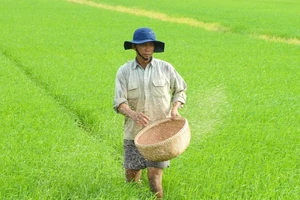 Doanh nghiệp nông nghiệp triển khai các giải pháp theo tinh thần 'lợi ích hài hòa, rủi ro chia sẻ'