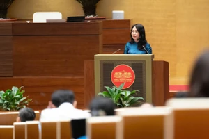 Đề xuất miễn, giảm phí tại điểm tham quan công lập vào Ngày Văn hóa Việt Nam 