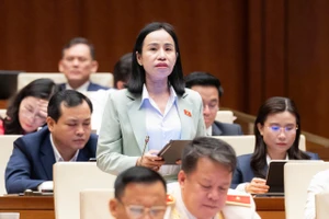 Đại biểu lo 'cú sốc' thuế xe điện từ 2031, nguy cơ sốt ảo rồi đóng băng thị trường