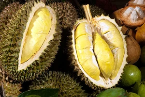 Sầu riêng, nhiều nông sản ùn tắc kiểm nghiệm, Bộ NN&MT chỉ đạo khẩn 