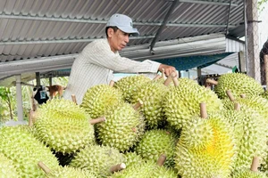 Xuất khẩu sầu riêng tăng khủng hơn 200%