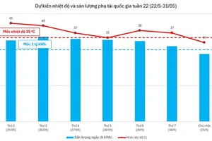 Nắng nóng gay gắt nhất từ đầu mùa hè, đề xuất áp dụng giờ cao điểm mới 