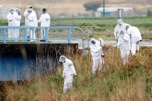 Nhật: Bé gái Việt nghi bị giết ở nơi khác rồi phi tang