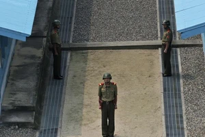 Triều Tiên rượt lính đào tẩu, Hàn Quốc nã đạn cảnh cáo