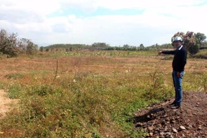 Tạm đình chỉ chủ tịch xã lấn đất công 