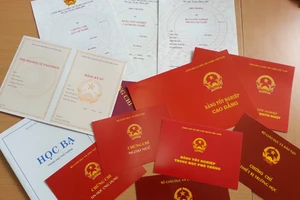 Xem xét kỷ luật hạt phó kiểm lâm dùng 2 bằng giả