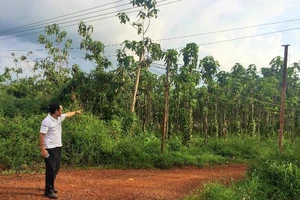 Cấp đất sai cho cựu thường vụ tỉnh, 9 người bị kỷ luật