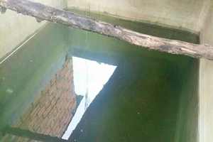 Bể nước một gia đình nồng nặc mùi thuốc sâu