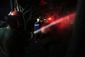 Cháy hơn 3.500 m2 rừng gần sân bay Đà Nẵng