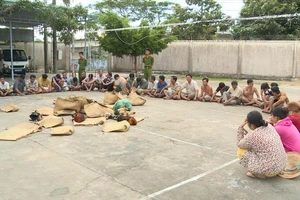 Bắt sới bạc hơn 50 người