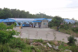 Quảng Ngãi trao quyết định đầu tư 14 dự án hơn 9.000 tỉ