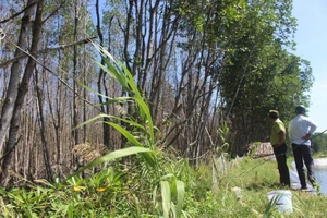 Hơn 3 ha rừng đặc dụng chết chưa rõ nguyên nhân