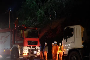 Cháy lớn tại rừng Nam Hải Vân